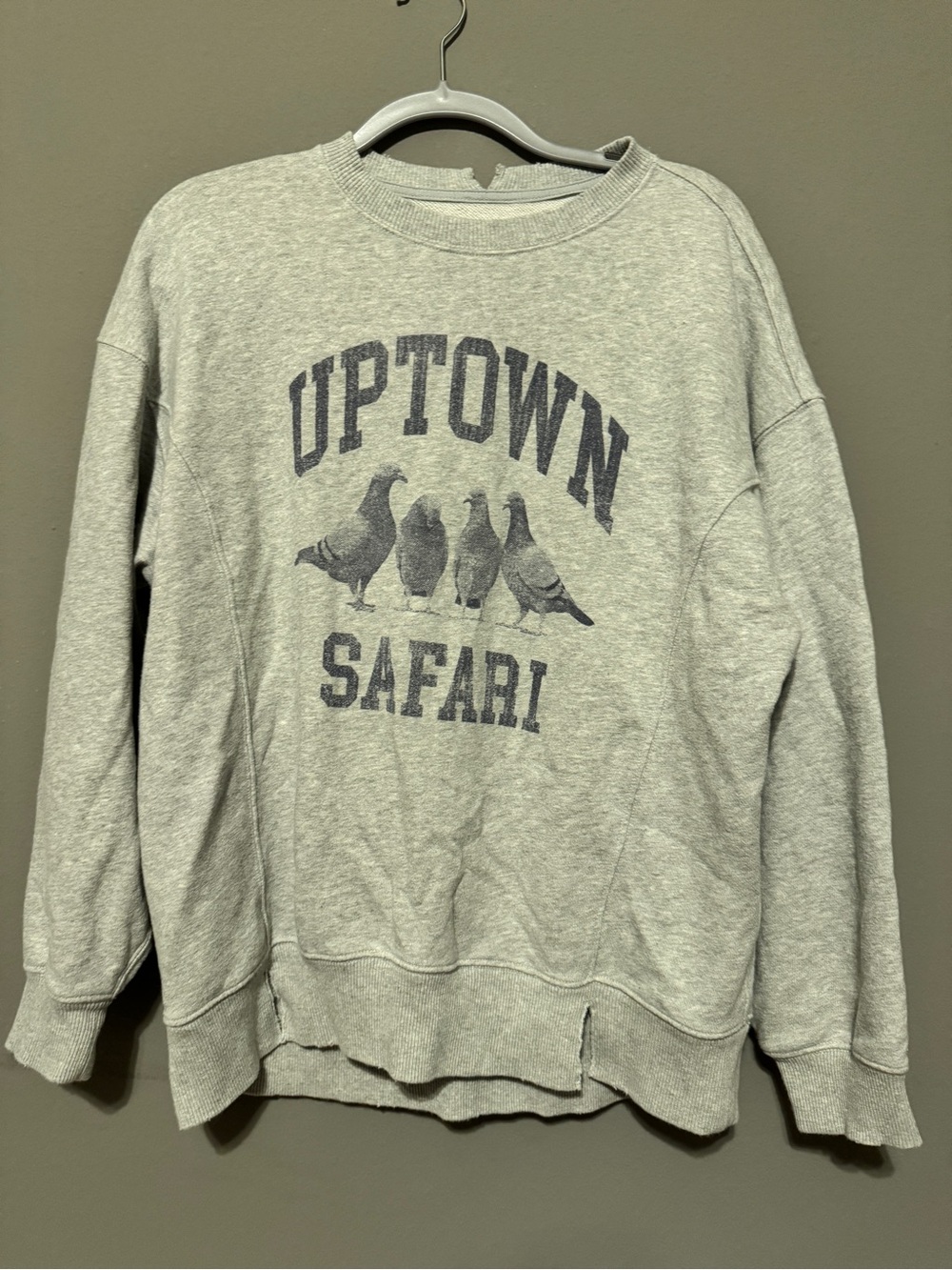 aerie Light Gray Uptown Safari Graphic Crewneck